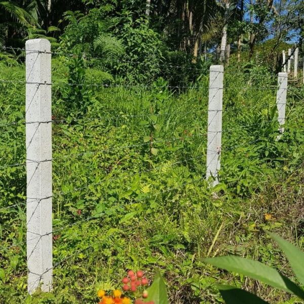 Arame Farpado Motto Mundial 250 m - Image 3