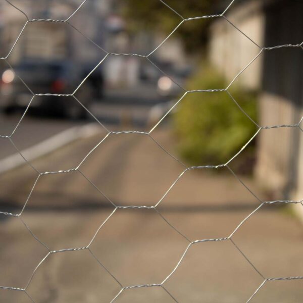 Tela Hexagonal Galinheiro Fino - Image 4