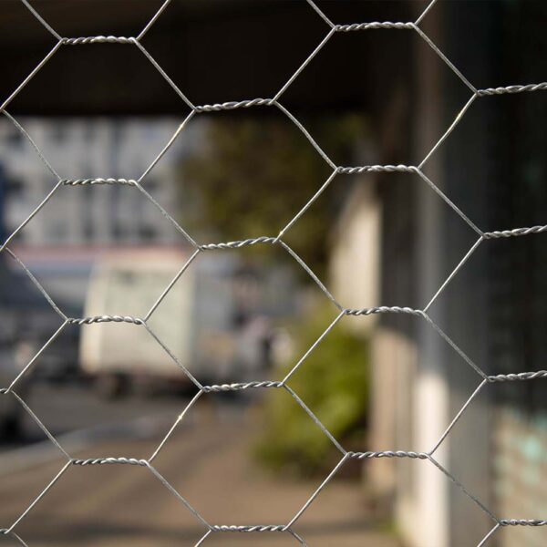 Tela Hexagonal Galinheiro Grosso - Image 7