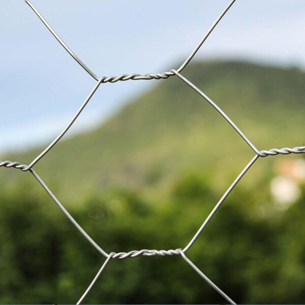 Tela Hexagonal Galinheiro Grosso - Image 6