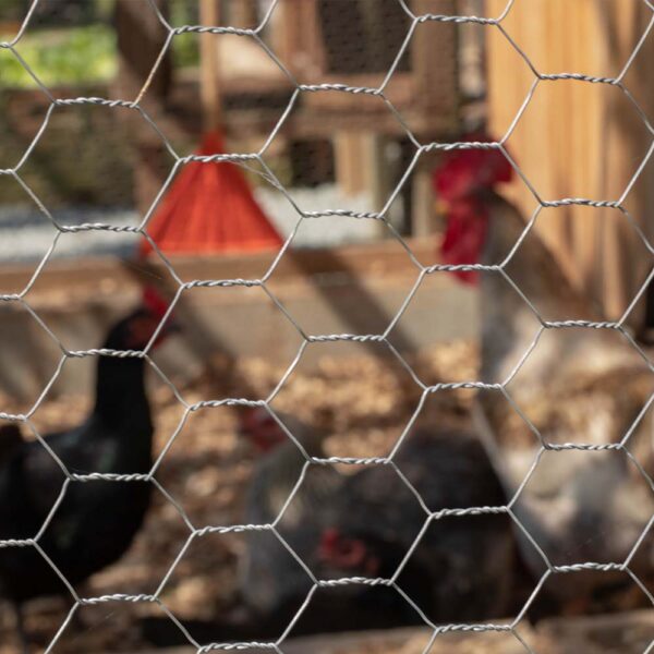 Tela Hexagonal Pinteiro Fino - Image 5