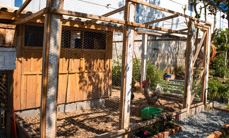 Telas para a criação de aves em Penha